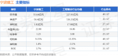 欠债率83.56%